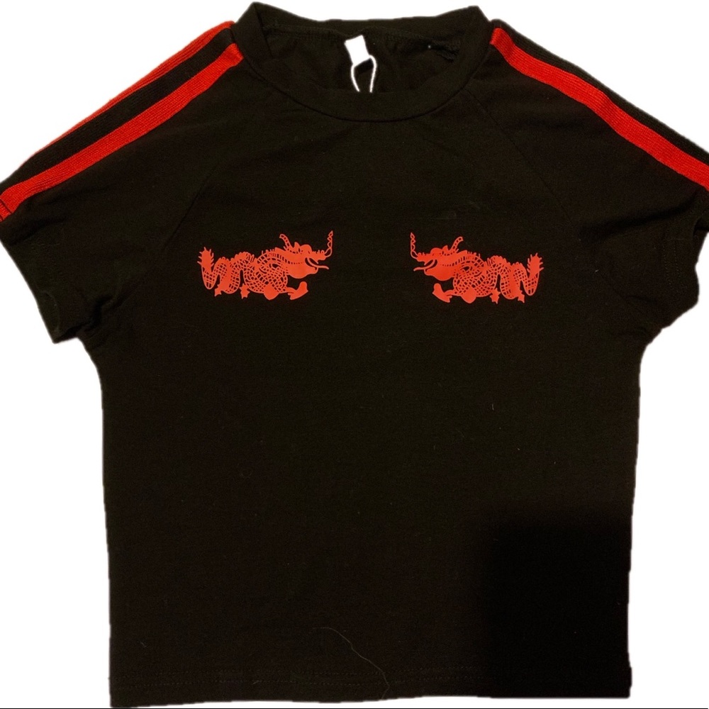 Dragon Crop Top